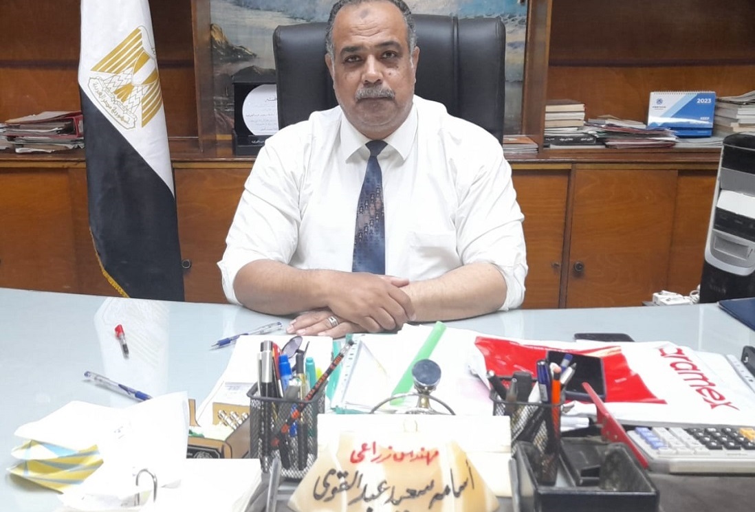 253 ألف فدان محاصيل شتوية في بني سويف